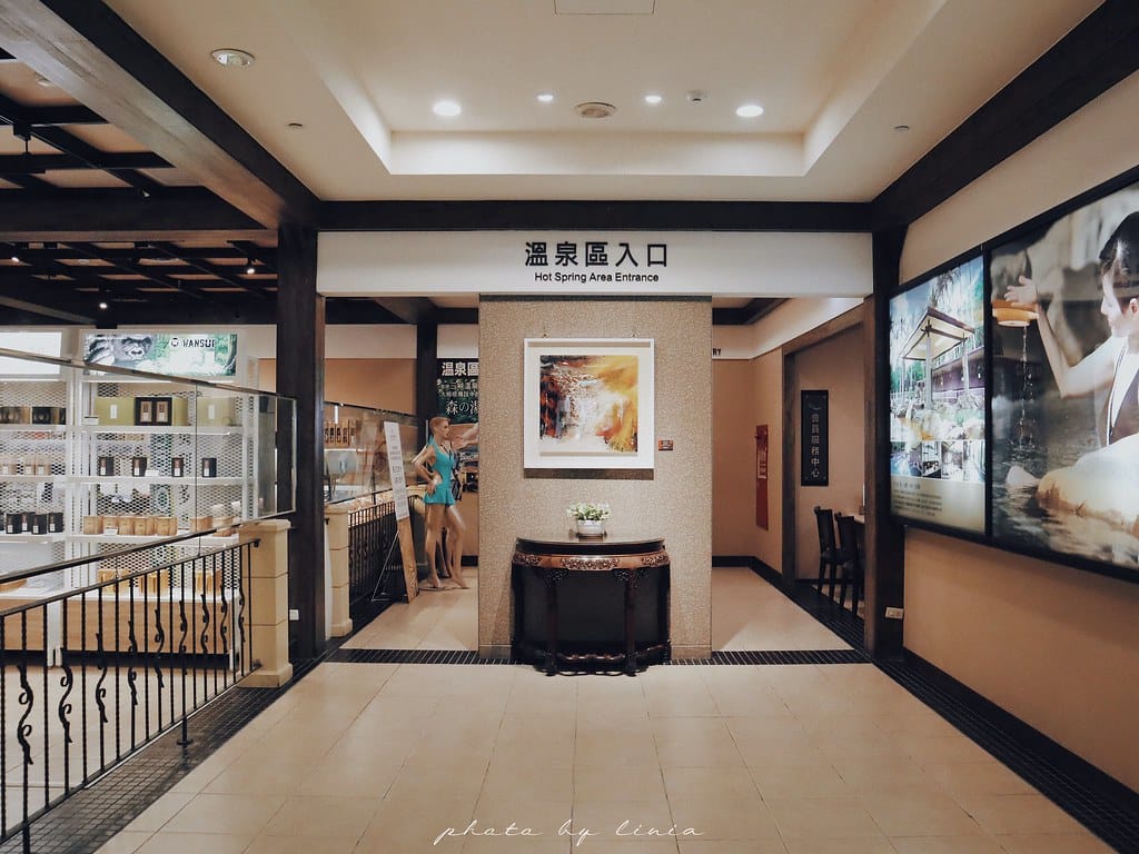 大板根14