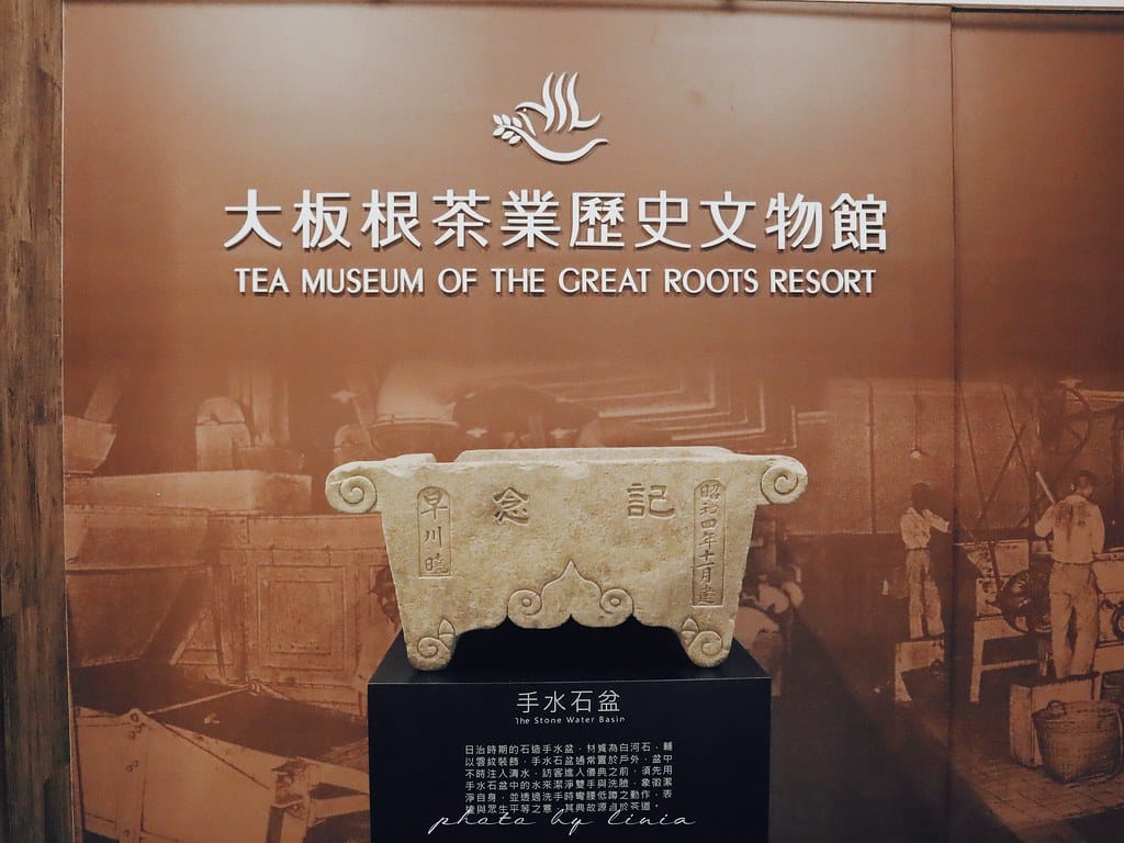 大板根12
