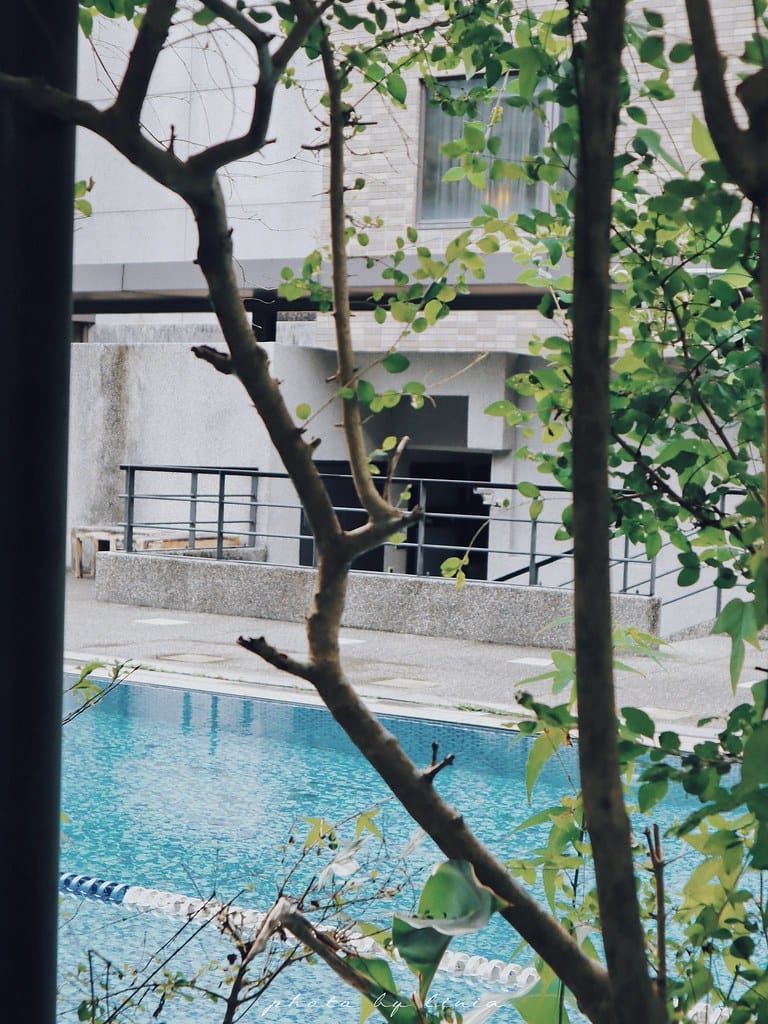 大板根32