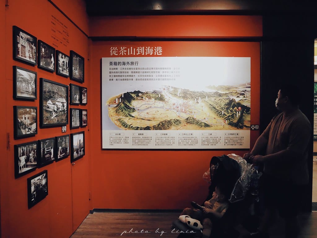大板根25