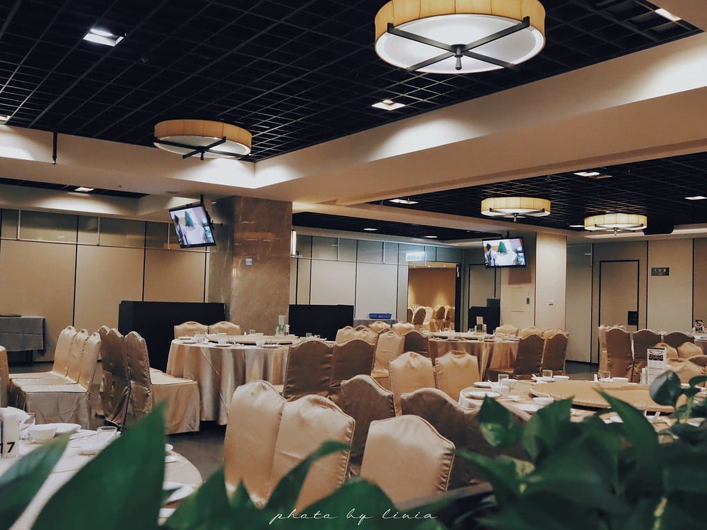 大板根58