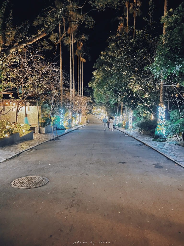 大板根94