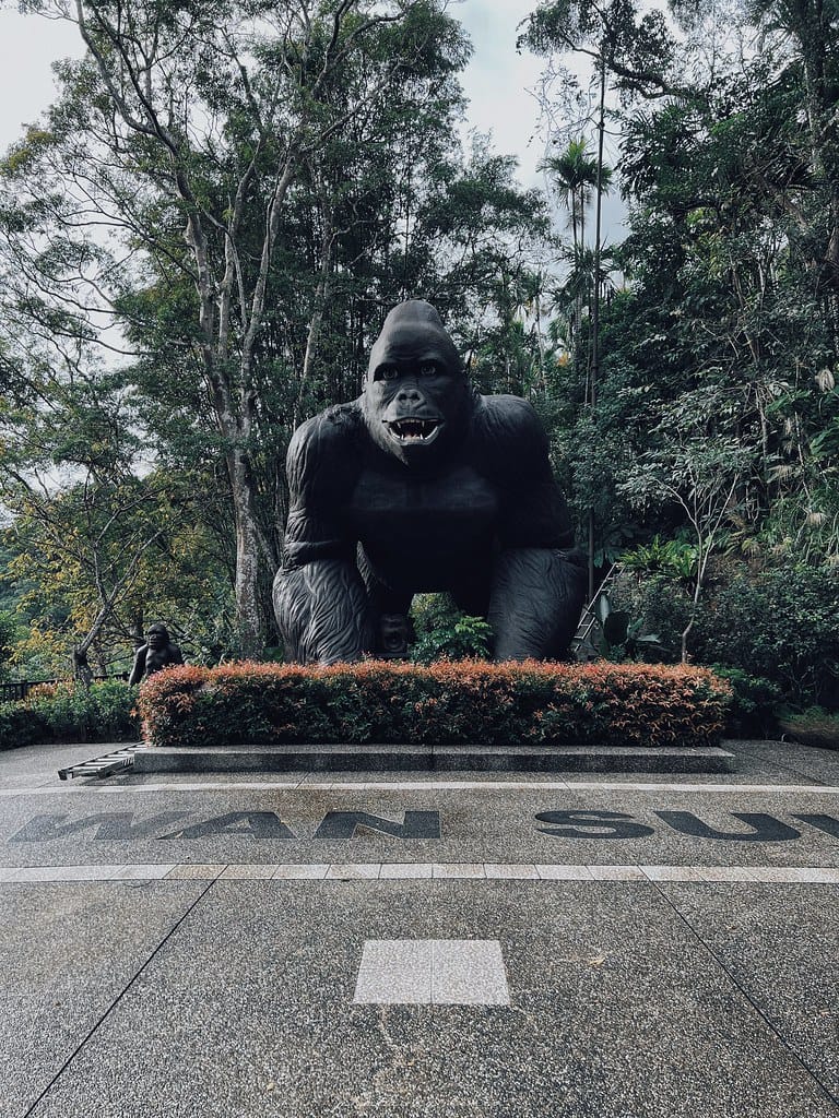 大板根100