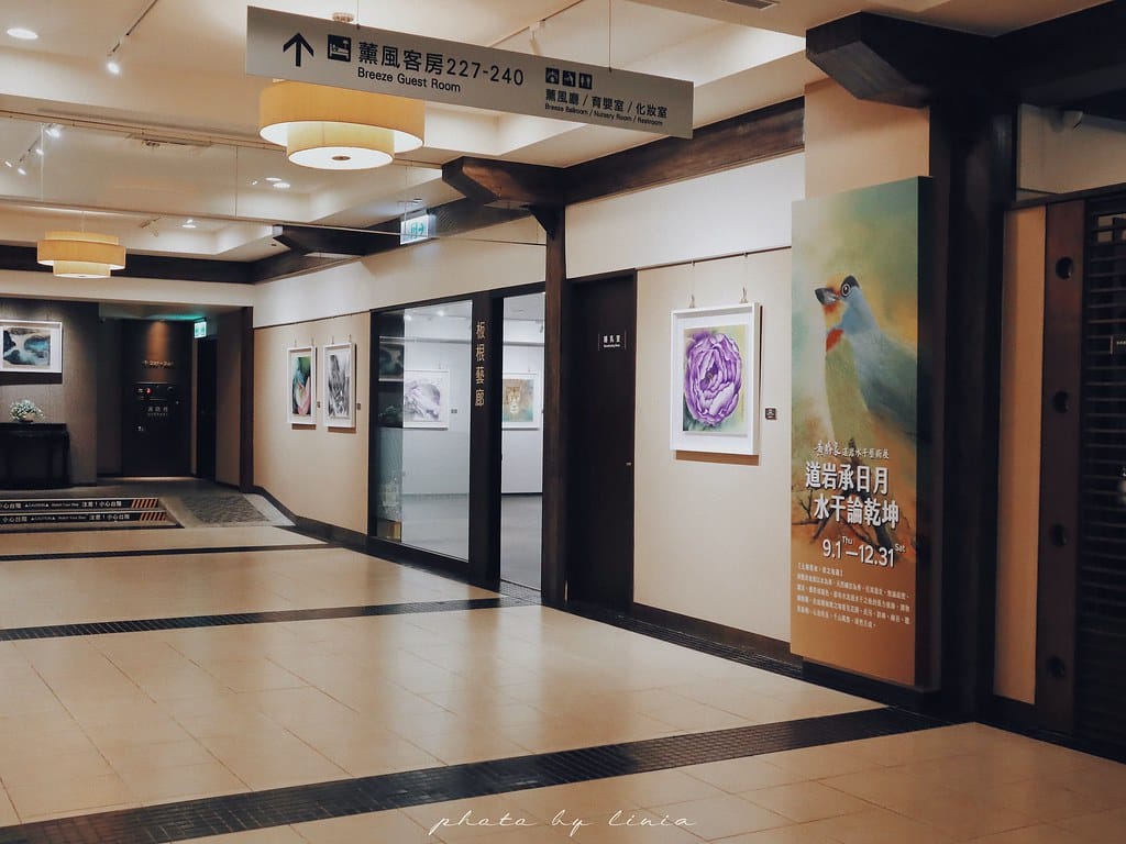 大板根17