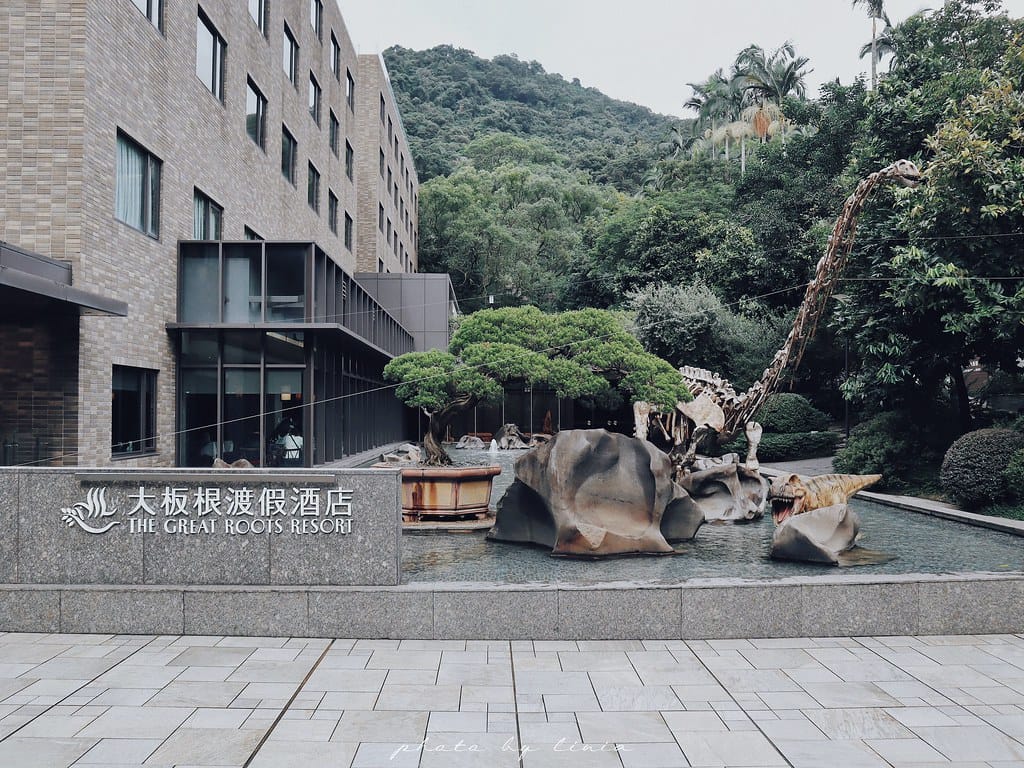 大板根8