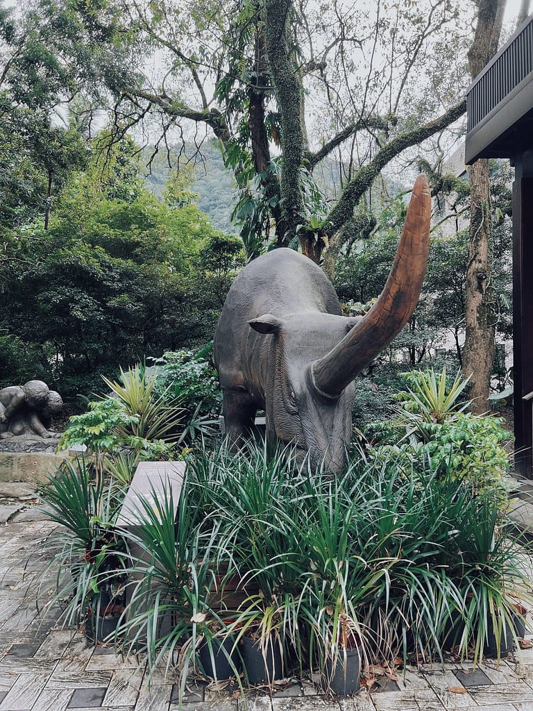大板根98