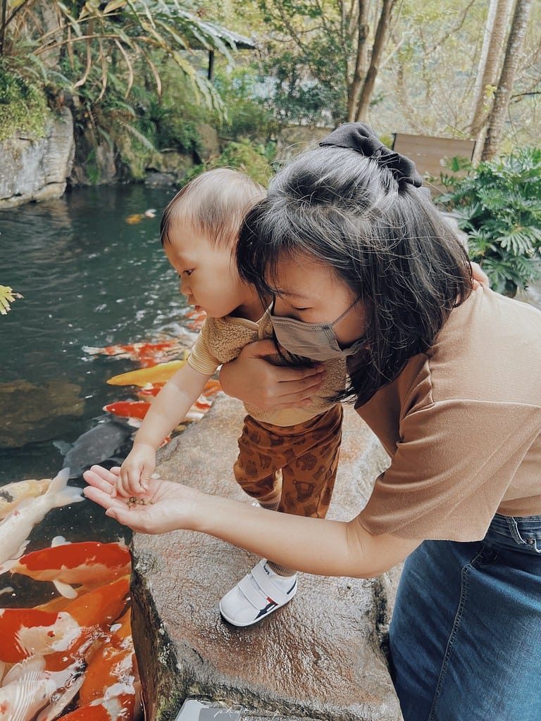 大板根105