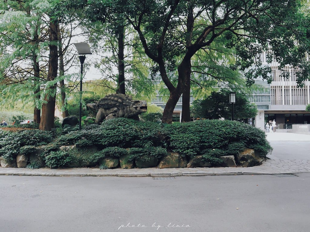 大板根20