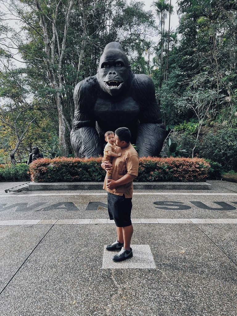大板根107