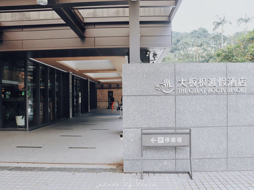 大板根3