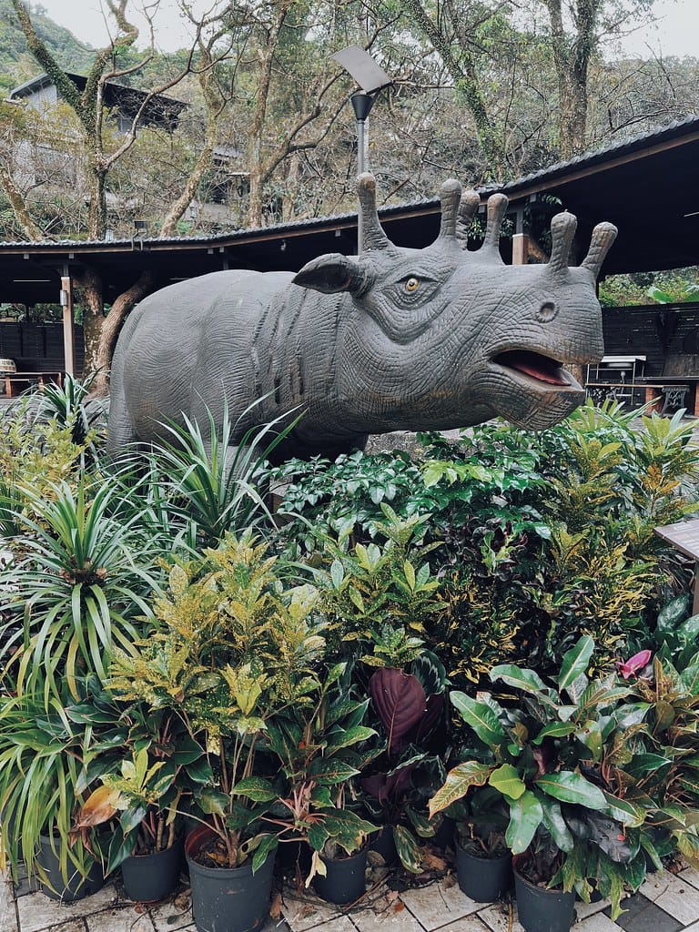 大板根97