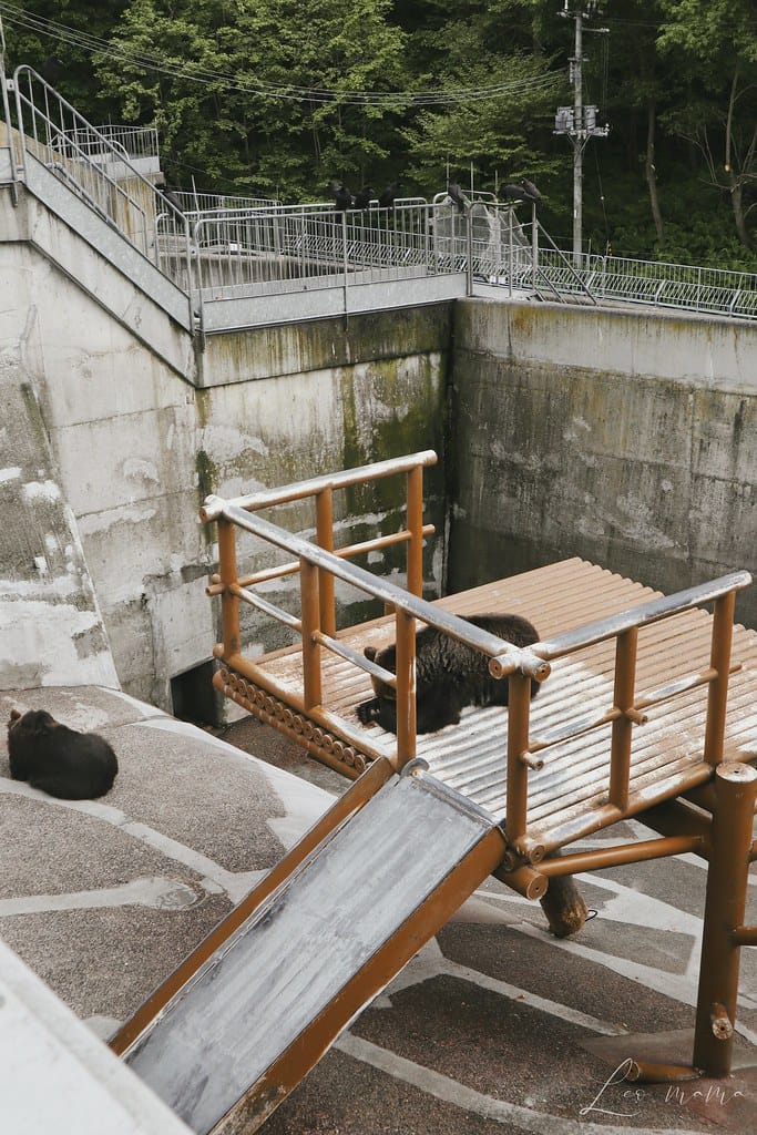 熊牧場13