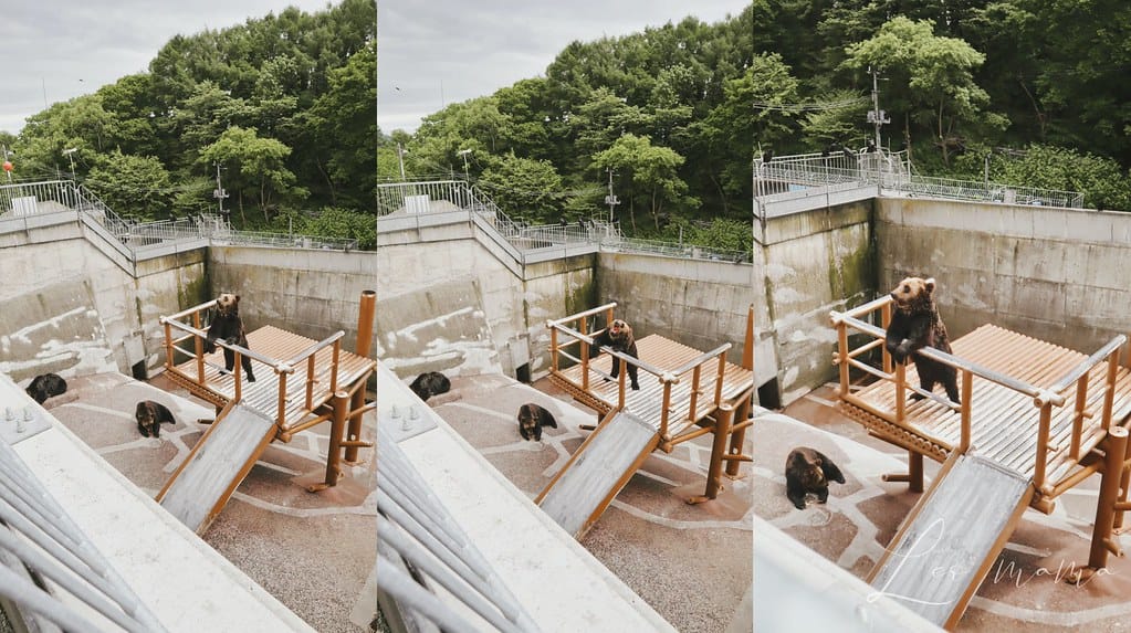 熊牧場3