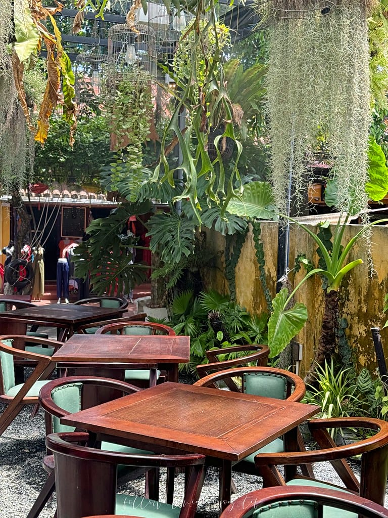 午餐7