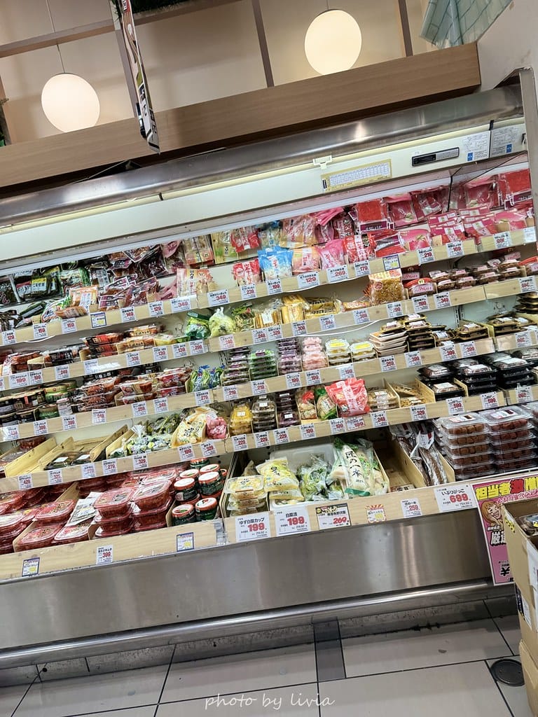 淺草雷門住宿 // 飯店樓下就是公園!格拉斯麗淺草飯店 Ho 格拉斯麗淺草飯店 (98)