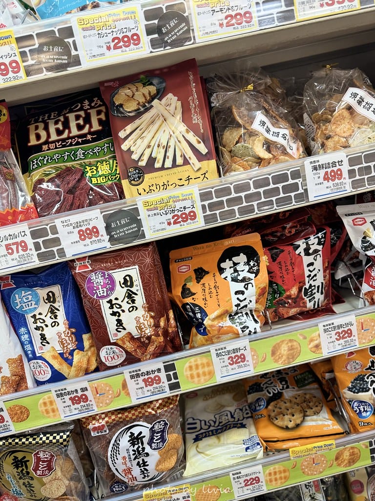 淺草雷門住宿 // 飯店樓下就是公園!格拉斯麗淺草飯店 Ho 格拉斯麗淺草飯店 (96)