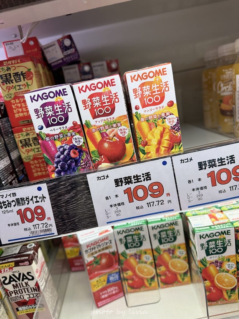 淺草雷門住宿 // 飯店樓下就是公園!格拉斯麗淺草飯店 Ho 格拉斯麗淺草飯店 (101)