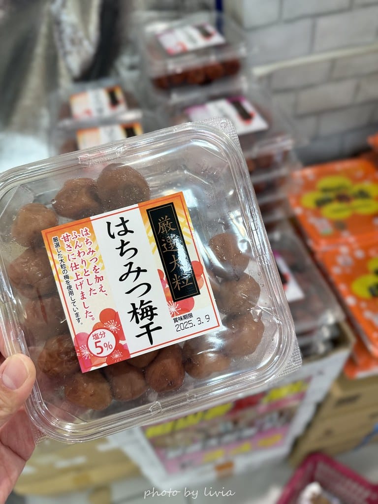 淺草雷門住宿 // 飯店樓下就是公園!格拉斯麗淺草飯店 Ho 格拉斯麗淺草飯店 (103)