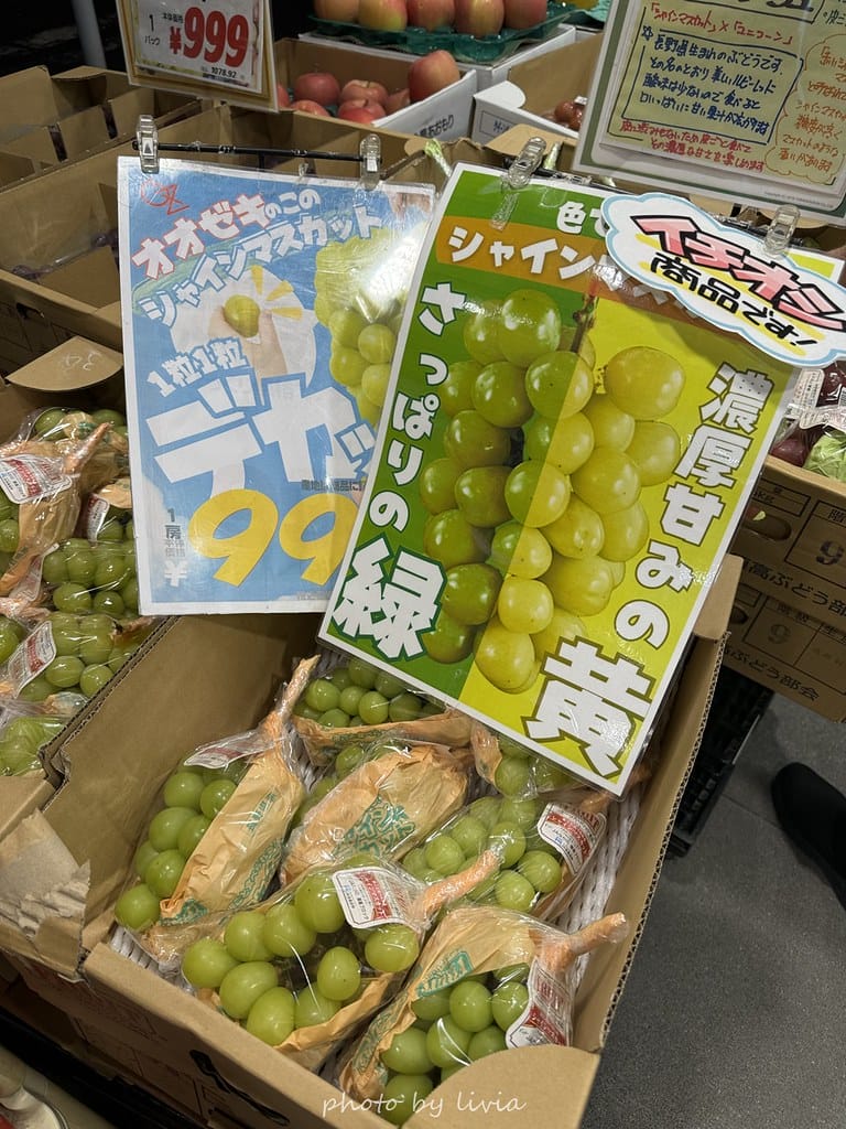 淺草雷門住宿 // 飯店樓下就是公園!格拉斯麗淺草飯店 Ho 格拉斯麗淺草飯店 (94)