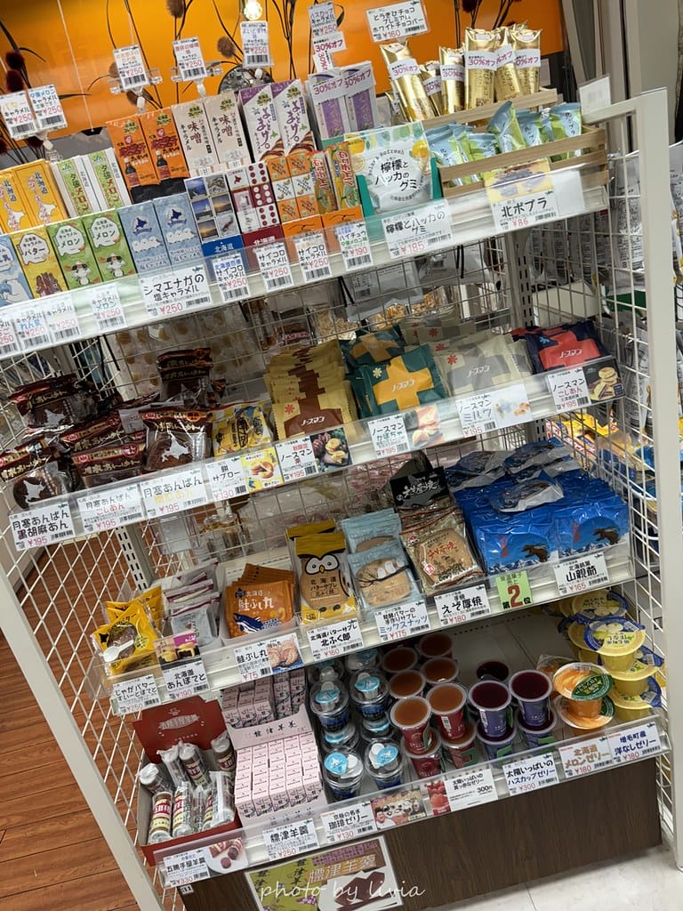 淺草雷門住宿 // 飯店樓下就是公園!格拉斯麗淺草飯店 Ho 格拉斯麗淺草飯店 (82)