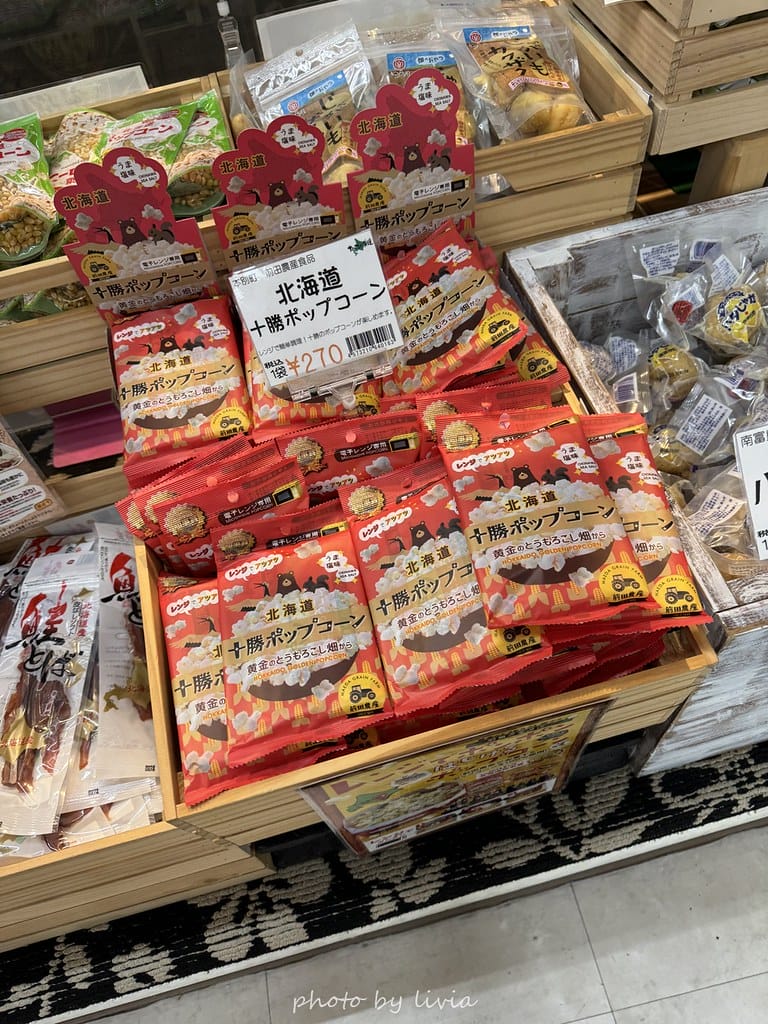 淺草雷門住宿 // 飯店樓下就是公園!格拉斯麗淺草飯店 Ho 格拉斯麗淺草飯店 (81)