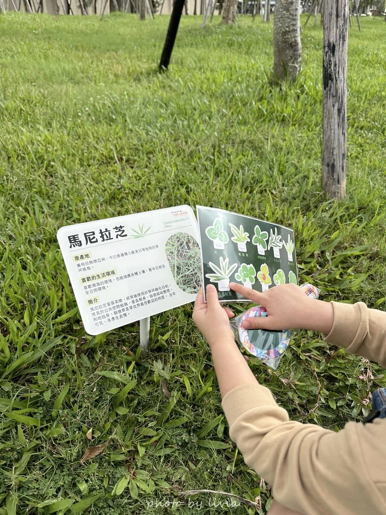 中壢景點 // 桃園兒童美術館超美美術館在桃園青埔9/ 美術館 (181)
