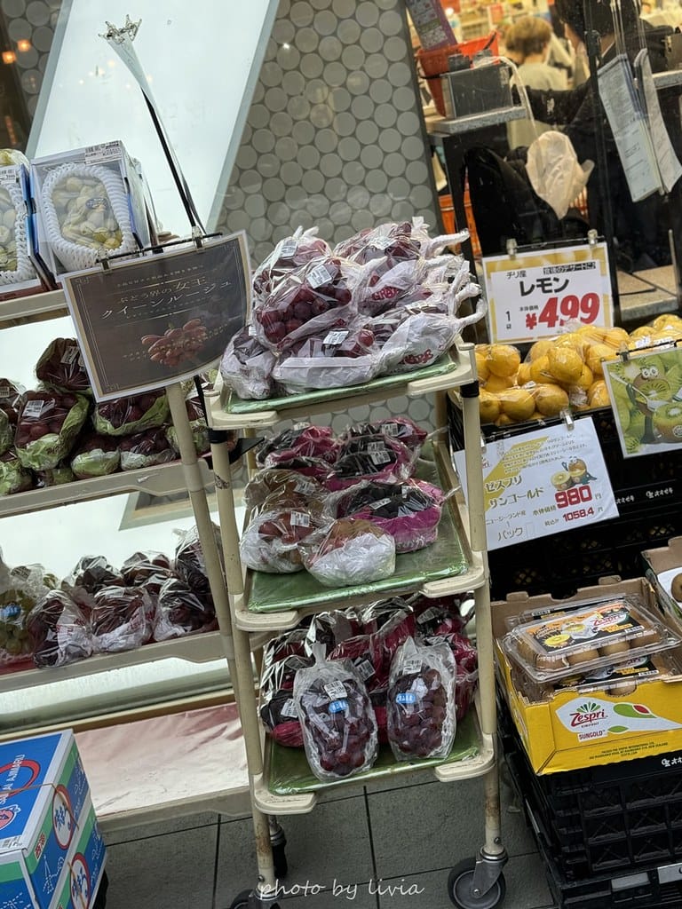 淺草雷門住宿 // 飯店樓下就是公園!格拉斯麗淺草飯店 Ho 格拉斯麗淺草飯店-1 (2)
