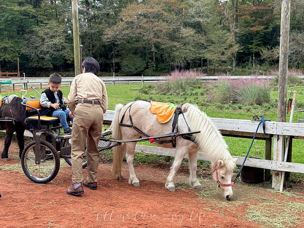 富士野生動物園143