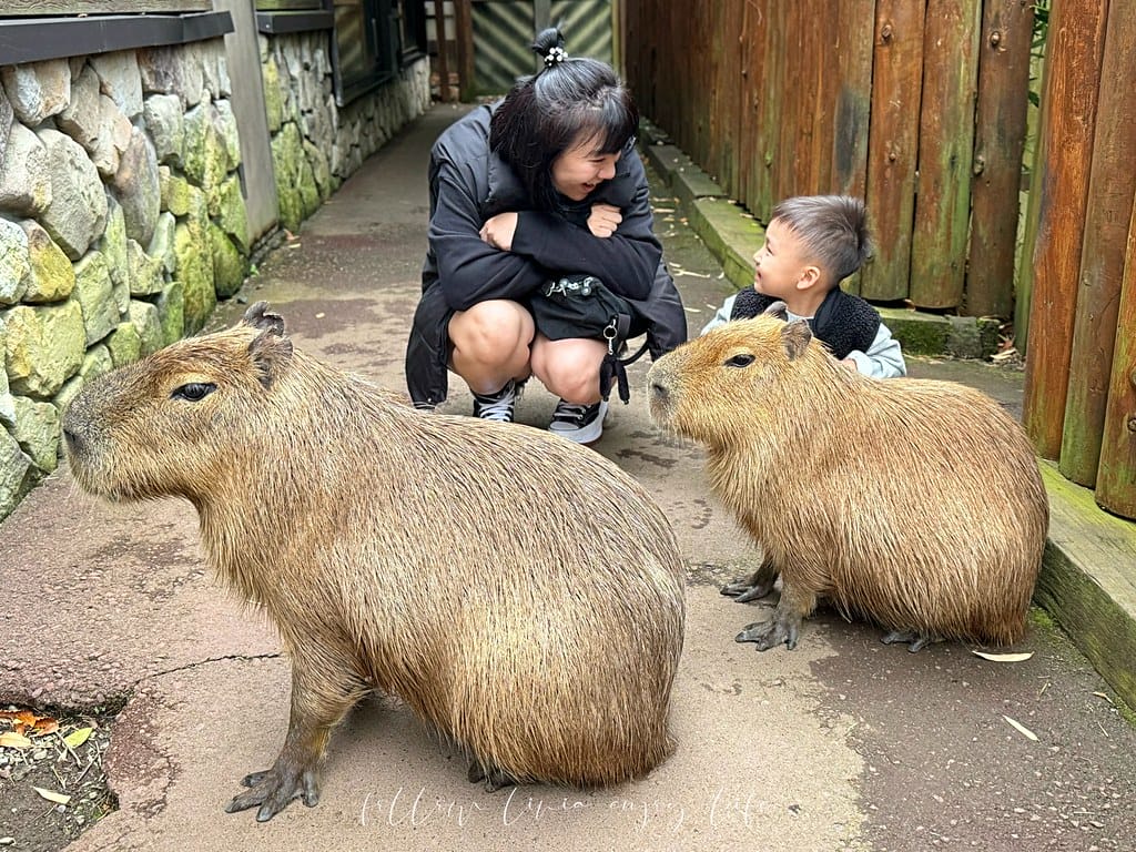 富士野生動物園162
