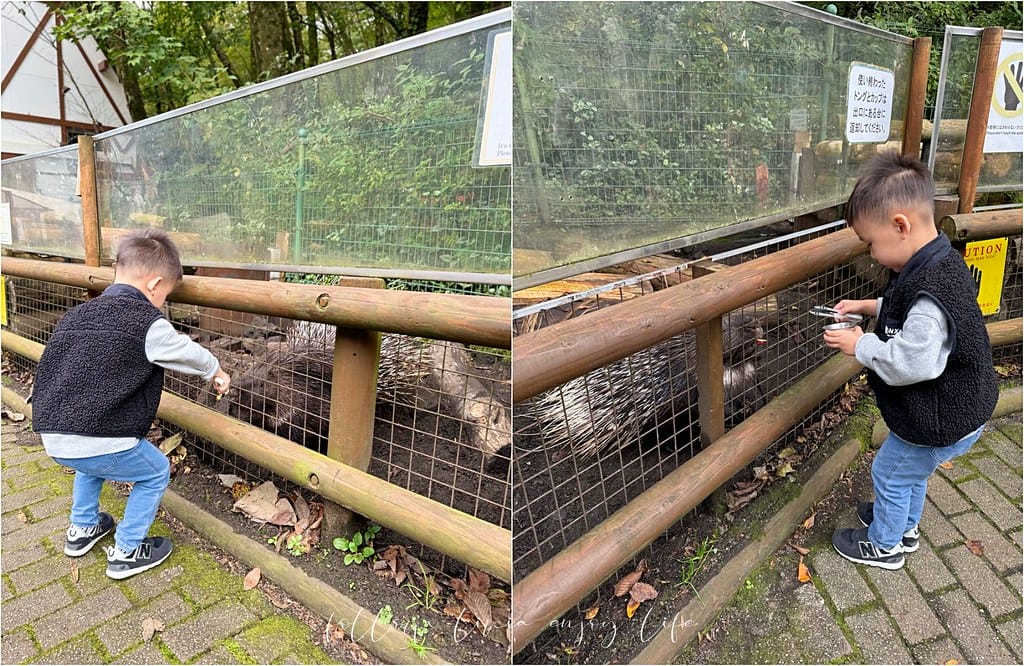 富士野生動物園2