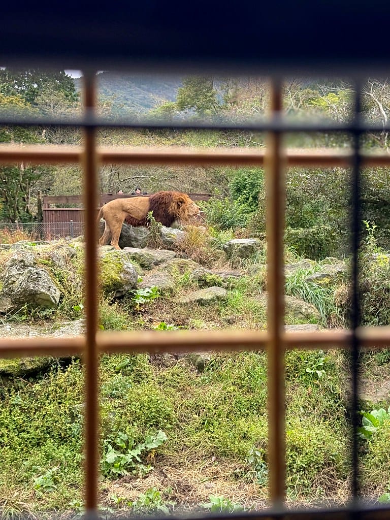 富士野生動物園65
