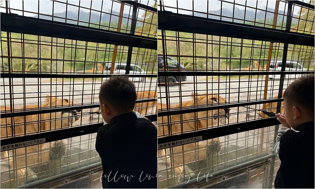 富士野生動物園10
