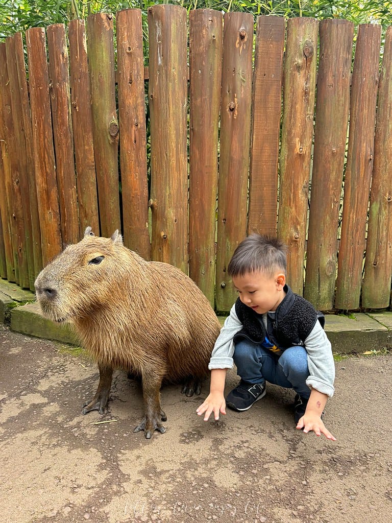 富士野生動物園122