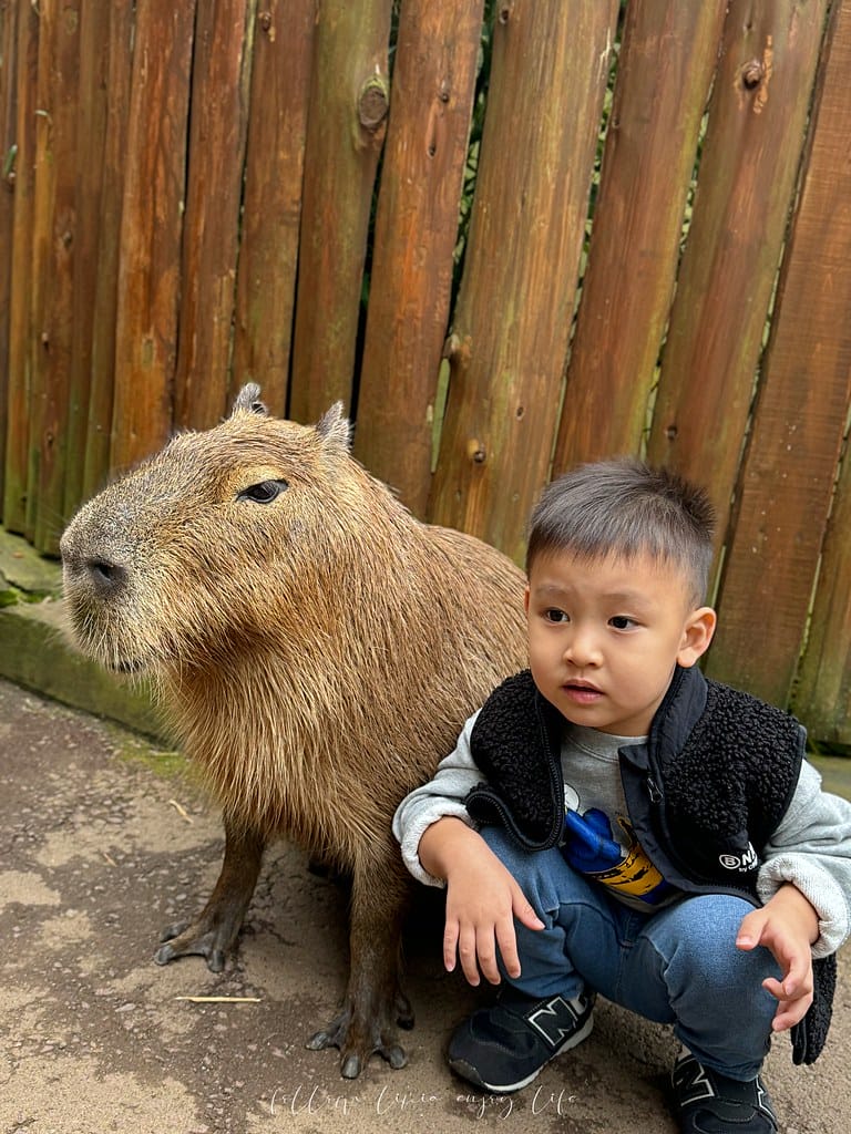 富士野生動物園125