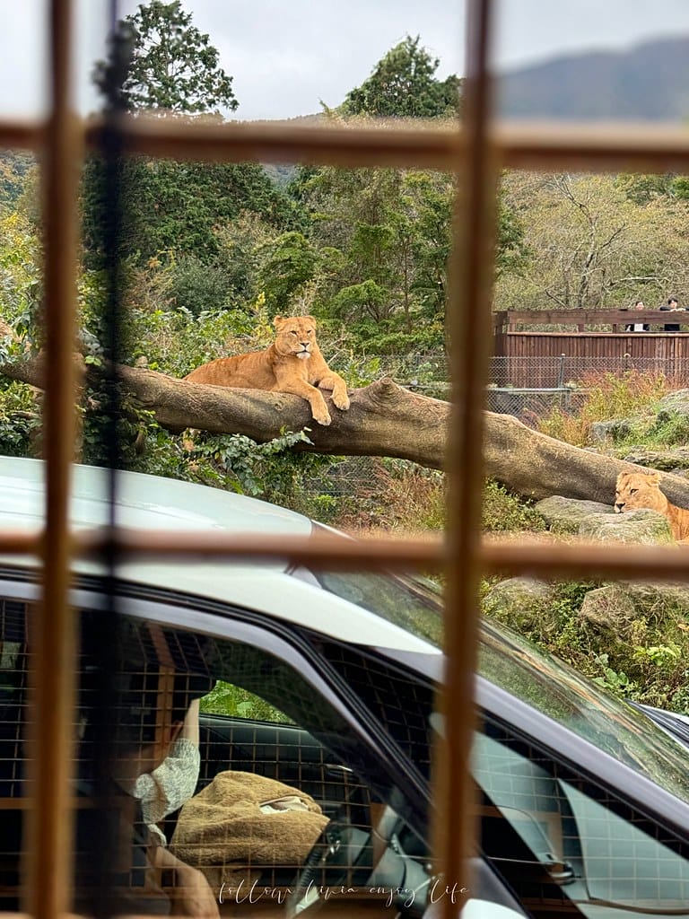 富士野生動物園64