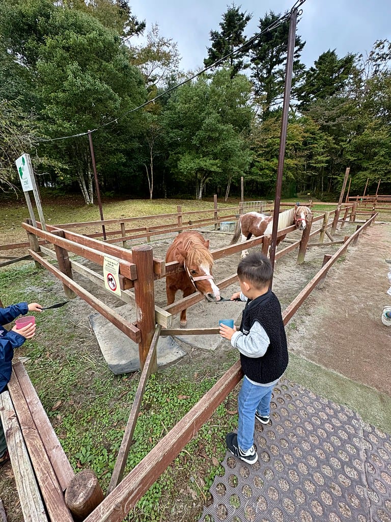 富士野生動物園135