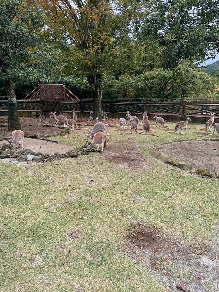 富士野生動物園130