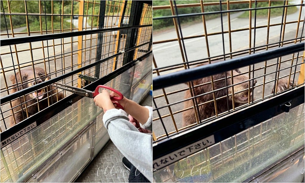 富士野生動物園7