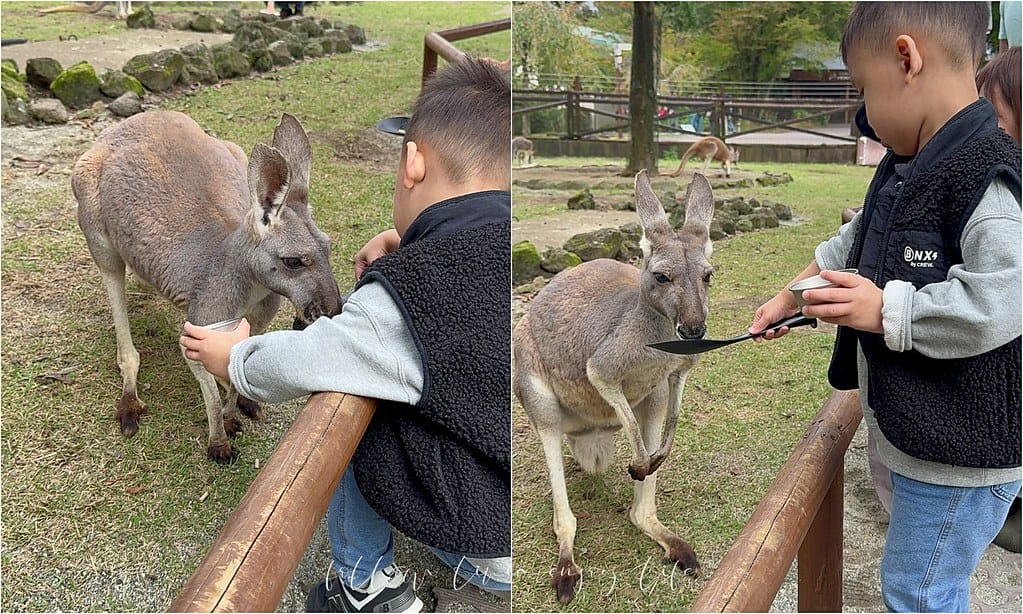 富士野生動物園13