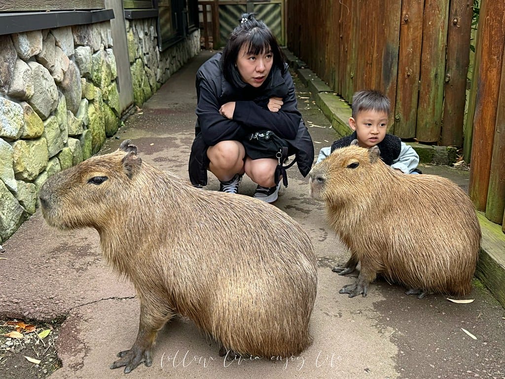 富士野生動物園161