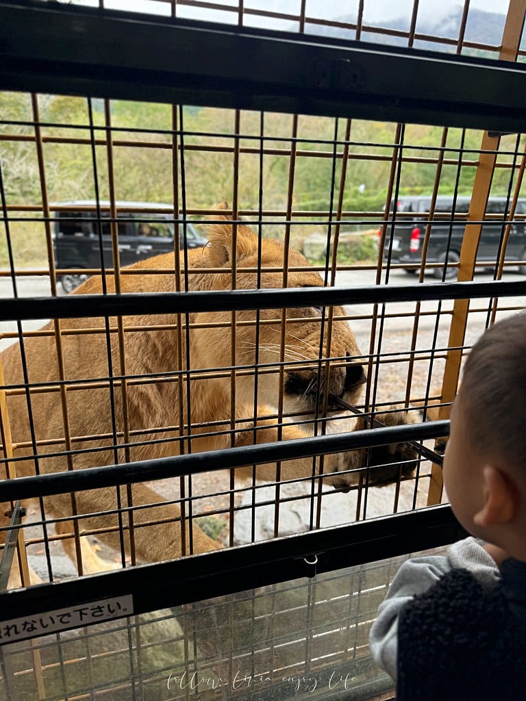 富士野生動物園59