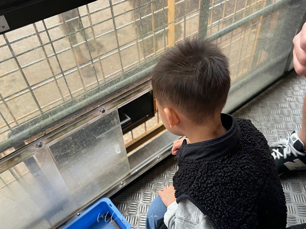 富士野生動物園69