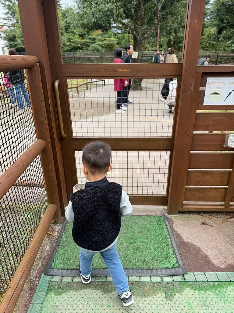 富士野生動物園129