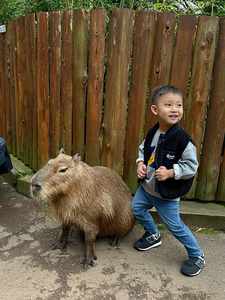 富士野生動物園121