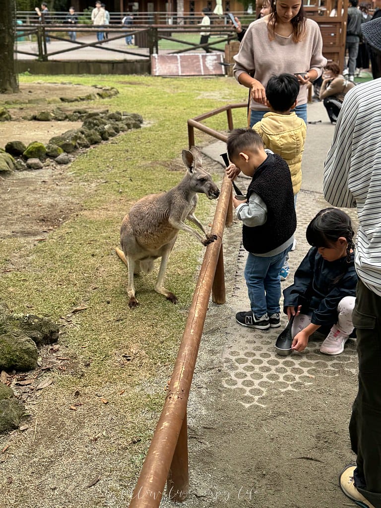 富士野生動物園132