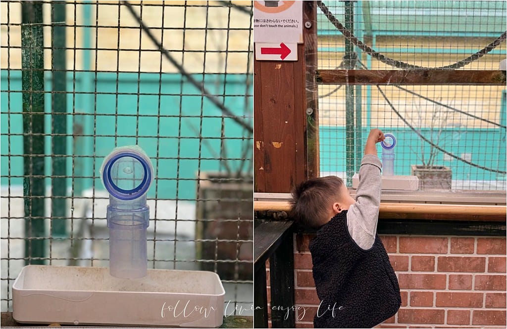 富士野生動物園1