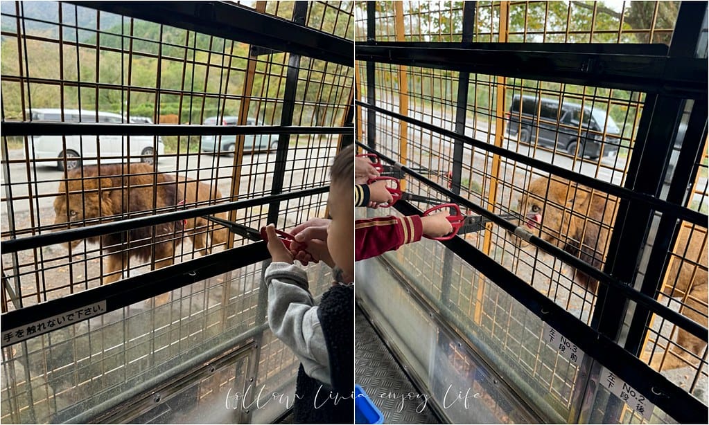 富士野生動物園8