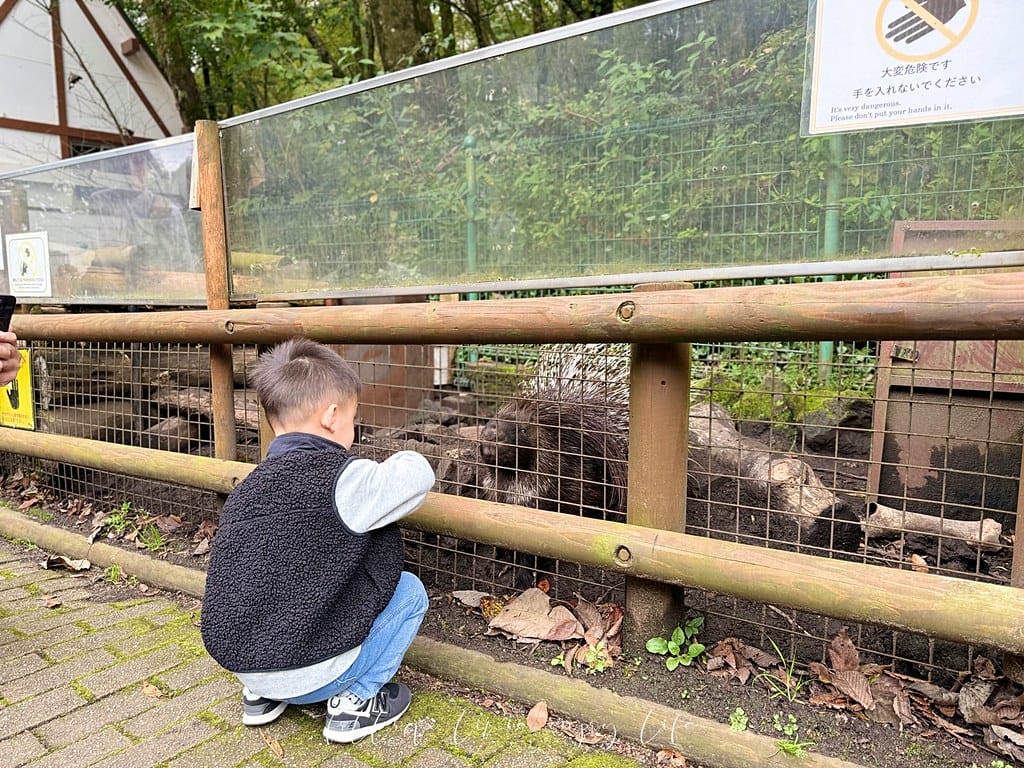富士野生動物園27