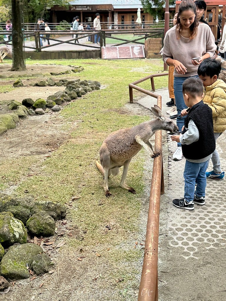 富士野生動物園133