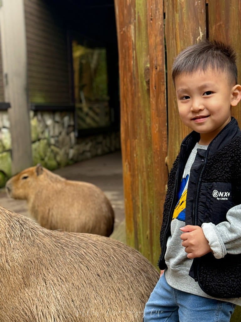 富士野生動物園119